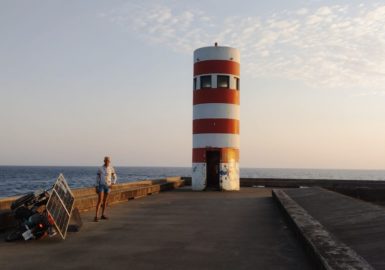 Herman Segers : Interview