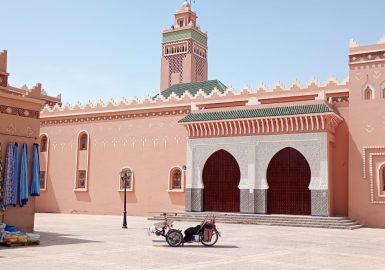 D31 - The adventure in videos